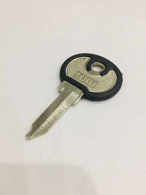 Заготовка автомобильного ключа NE-21P (STNE-21P) фото 1