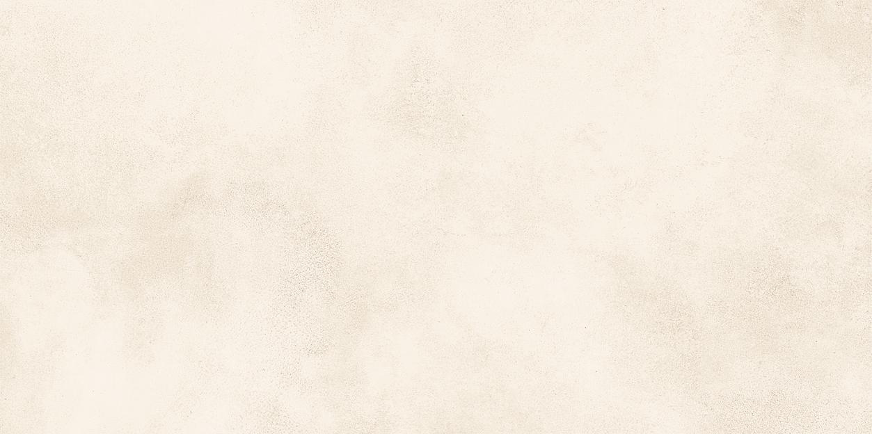 Плитка Alma Ceramica Richard TWU09RCD004 249x500 фото 1