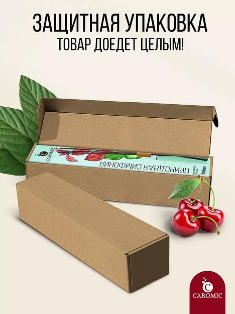 Ароматизатор для дома (диффузор) Caromic «Природная симфония» 100 мл ОПТ фото 8