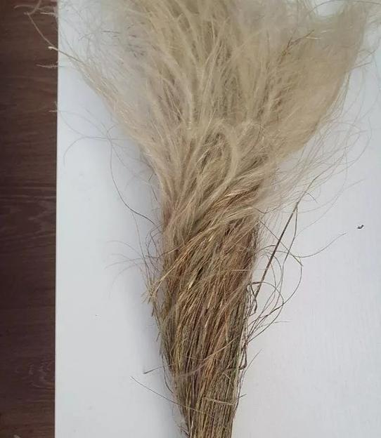 Сухоцвет Стифа (ковыль крымский), большой длинный пучок 50 г опт фото 1