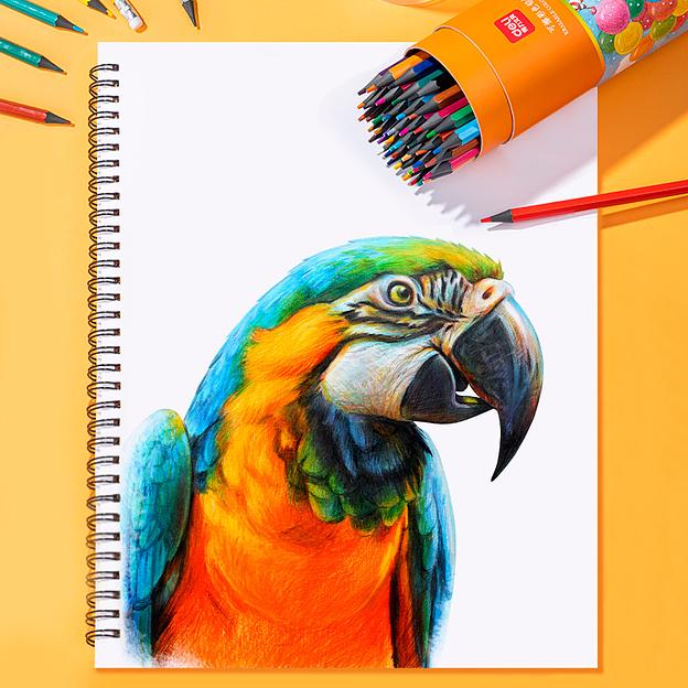 Карандаши цв. Deli 7073-12 пластик 12цв. туба пл. ластик фото 4