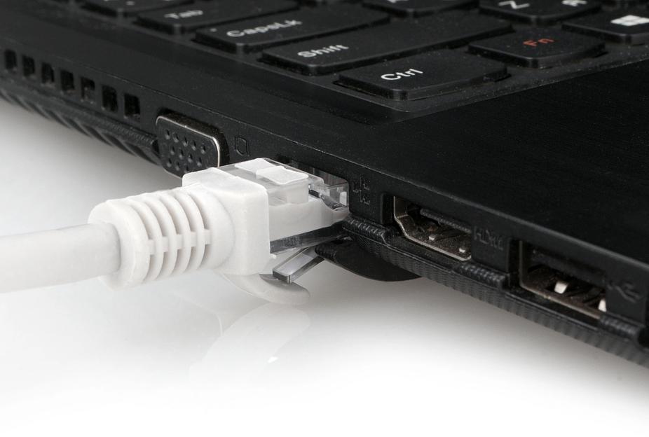 Патч-корд Premier PP31-5MLSZH 1Гбит/с UTP 4 пары cat.5E CCA molded 5м серый RJ-45 (m)-RJ-45 (m) (PP31-5M-LSZH) фото 5