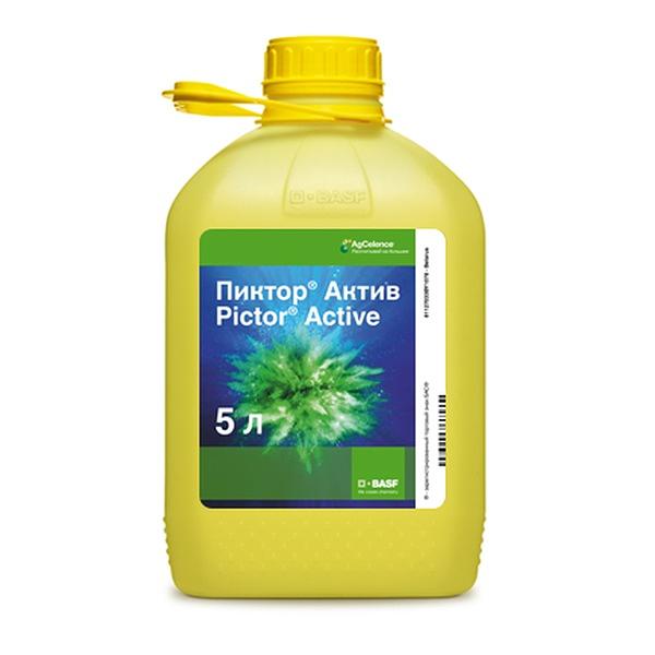 Пиктор, КС фото 1