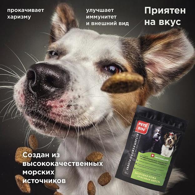 Добавка PETS BIN «Bones and Joints» для собак фото 8