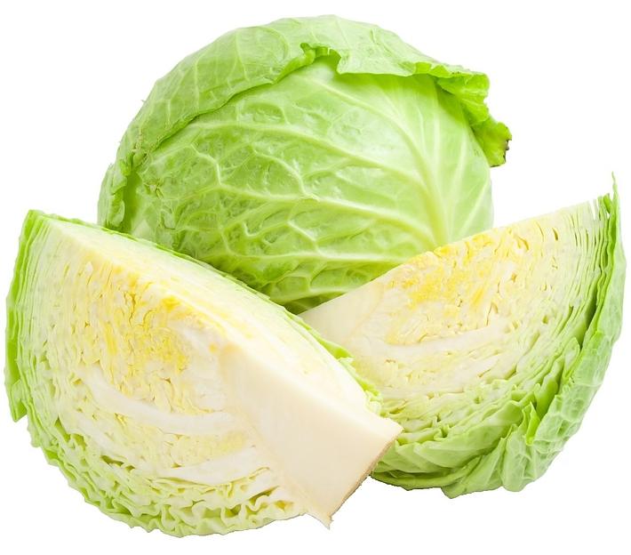 Капуста белокочанная Alice Garden в вакуумной упаковке ОПТ фото 1