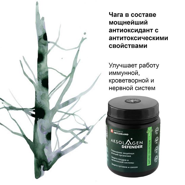 Неденатурированный Морской коллаген II типа с экстрактом чаги «Aksolagen defender» фото 4
