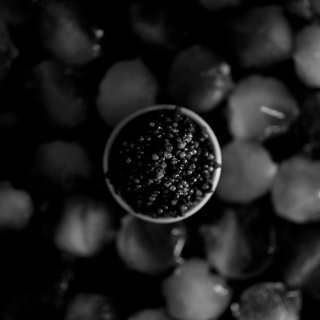 Стерляжья икра Азовский берег 50 г, опт фото 5