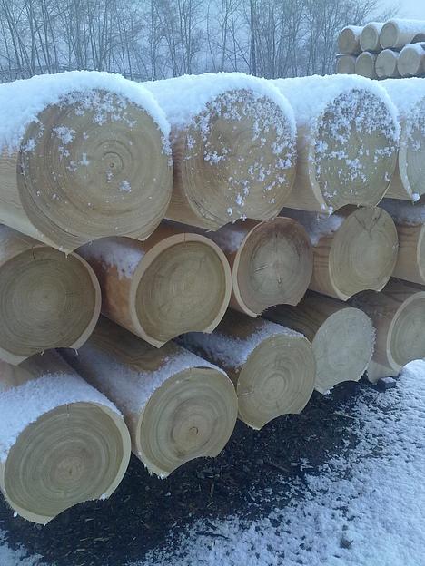 Оцилиндрованное бревно ОПТ фото 3