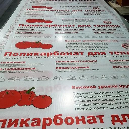 Сотовый поликарбонат для теплиц 2,1х6 м, Plastilux, Опт фото 1