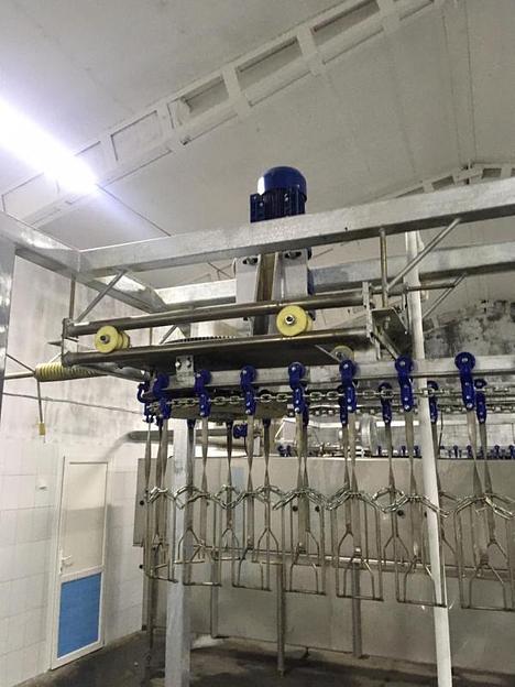 Подвесной конвейер убоя/потрошения птицы ВИ-1020 фото 2