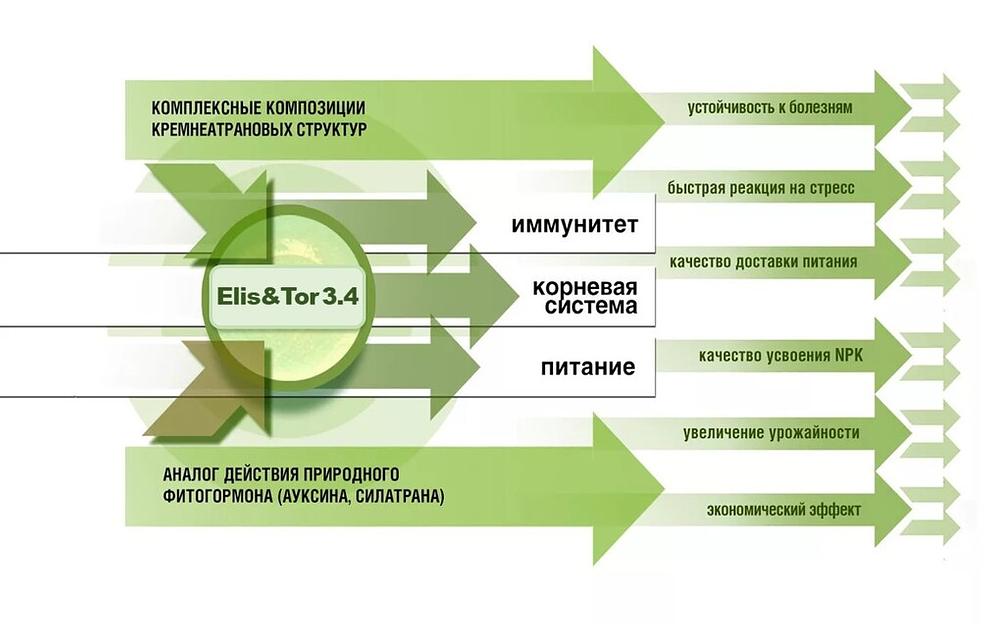 Кремнеорганический стимулятор роста растений «Элис&Тор № 3,4» ВРП для ЛПХ ОПТ фото 2