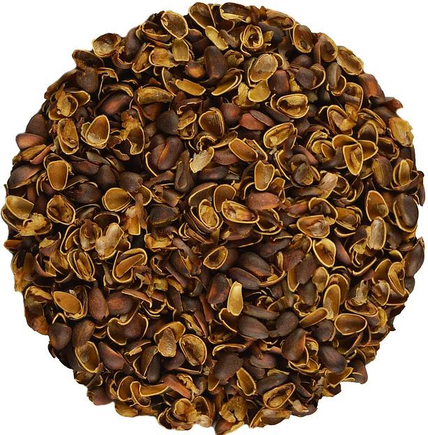 Скорлупа кедрового ореха для настаивания напитков Своя Настойка, 100 г ОПТ фото 1