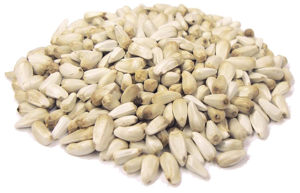 Посевные семена сафлора фото 1