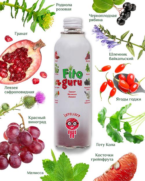 Напиток сокосодержащий «Fitoguru Intellect», Гранат, Меллиса, Левзея, 280 мл, опт фото 1