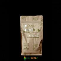 Удобрение Powder Feeding  BioGrow 125гр фото 1