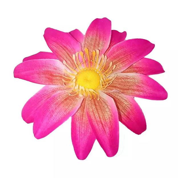 Головка ромашки 1м567 2сл 13см фото 3