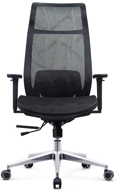 Кресло для Руководителя ARTZ-BS-WY36-Black фото 5