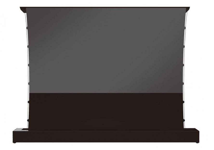 Напольный электрический ALR экран Digis DSBL-16910 фото 1