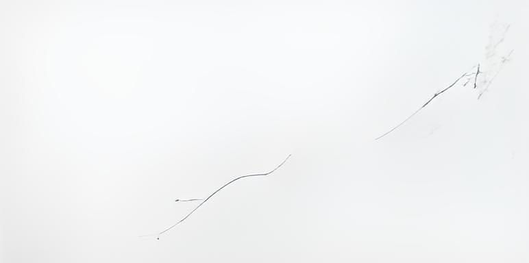 Керамогранитная плитка полированная KW04L (400х800 мм) фото 1