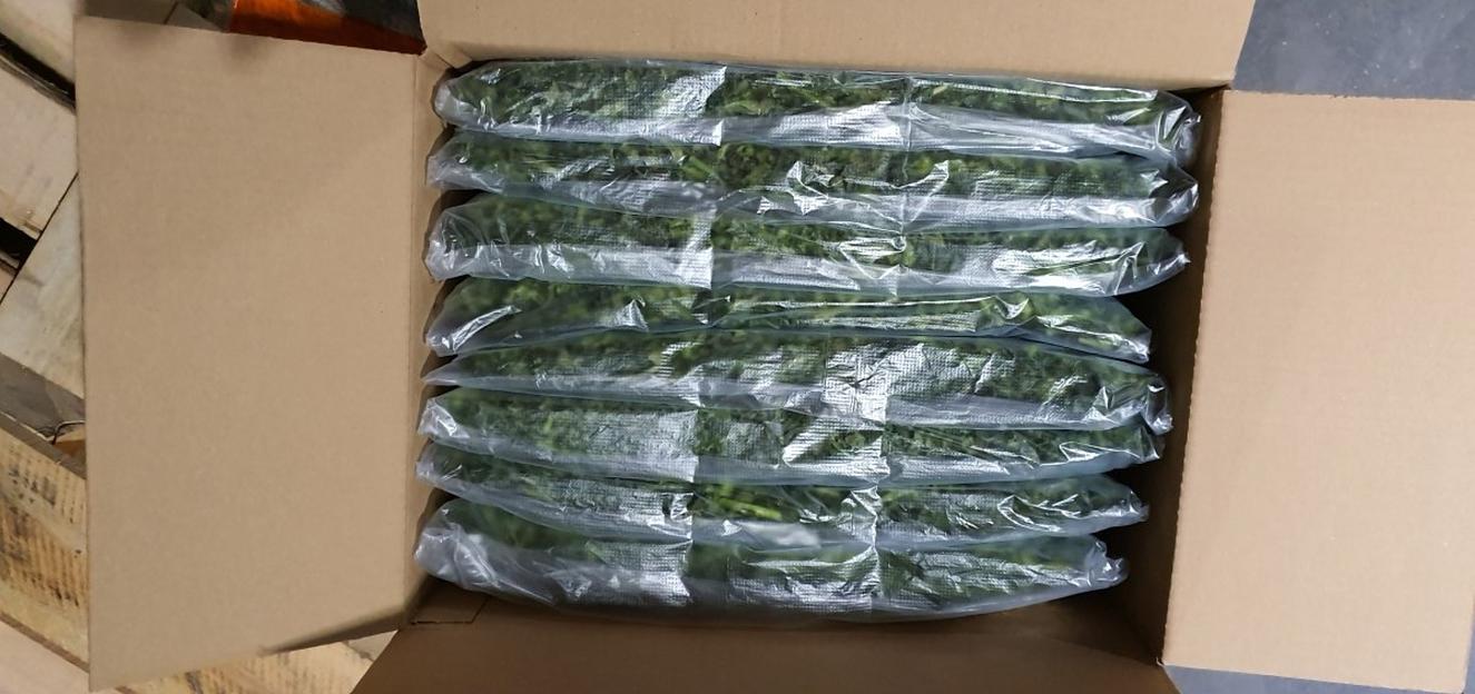 Кинза резанная замороженная Россия опт фото 4