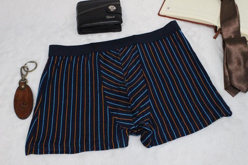 Трусы мужские боксеры p-p 46-54 Арт. 10057 Veenice бамбук (к.10948) фото 1