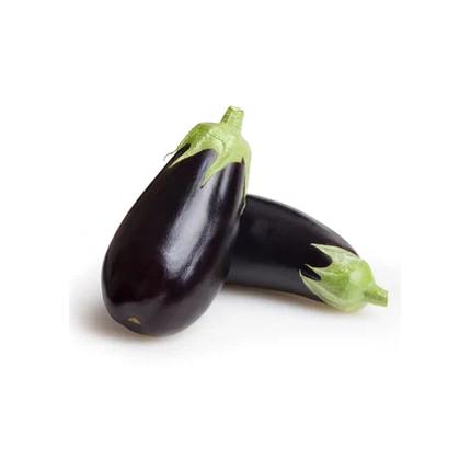 Баклажаны тепличные фото 1