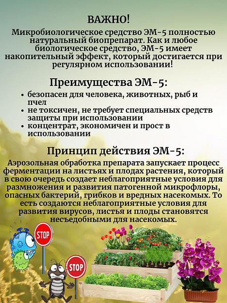 Биорегулятор болезни и вредителей ЭМ-5, 0,25, опт фото 2