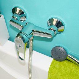 СМ-Д-13/СПИРЕЯ (Ригель-Сиб) одноручковый фото 1