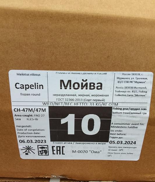 Свежемороженая мойва, икряная (Атлантика), размер 40/50 фото 2