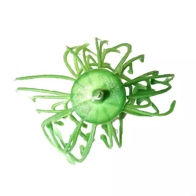 Добавка тычинка густая салатовая с белыми кончиками с ножкой 5,5см 509шт/кг фото 1