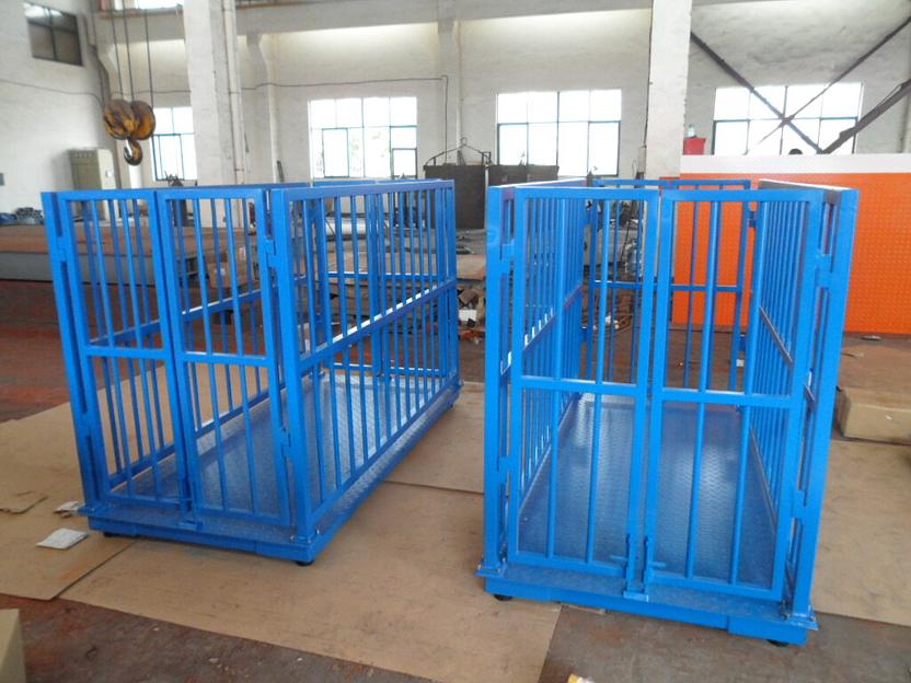 Весы для животных стационарные 1500x1250 фото 2