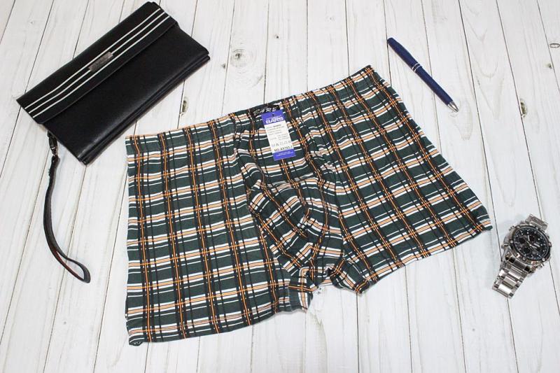 Трусы мужские боксеры p-p 46-54 Арт. А9703-1 BARS бамбук (к.11123) фото 1