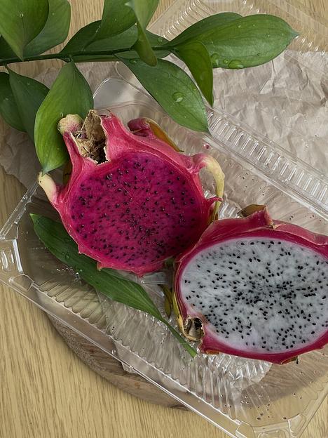 Одноразовый пластиковый контейнер ПК-102В фото 4