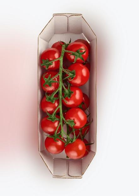 Томат черри премиум красный лоток 250 г ОПТ фото 2