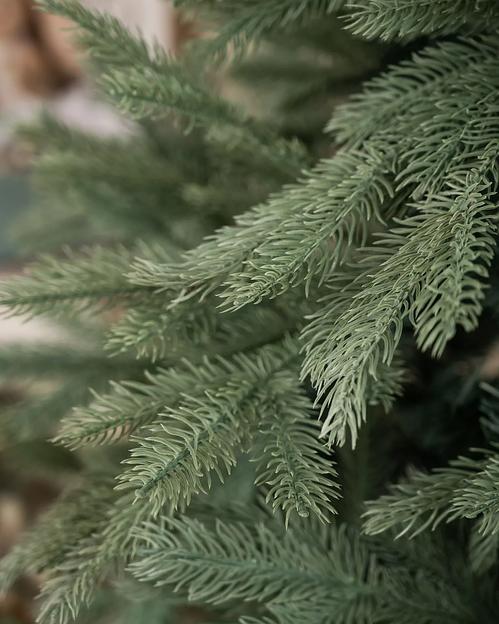 Голубая ель комбинированная «Баллада» опт фото 3