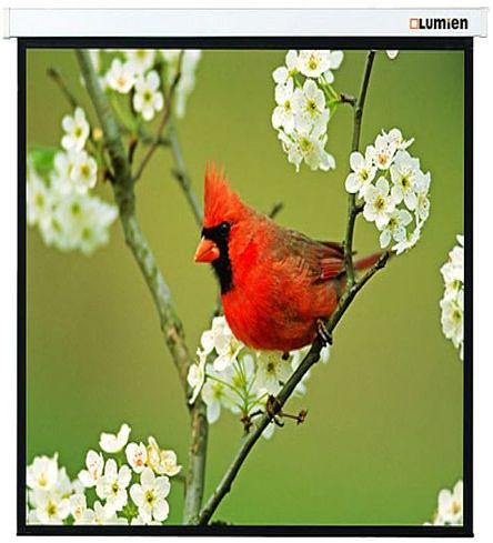 Экран Lumien 220x220см Master Picture LMP-100129 1:1 настенно-потолочный рулонный фото 1