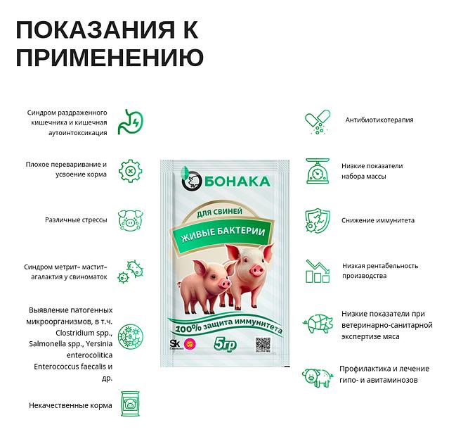 Живые бактерии для свиней Бонака-АПК, сухая форма опт фото 3