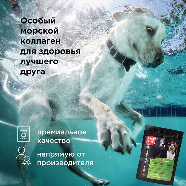 Добавка PETS BIN «Bones and Joints» для собак фото 6
