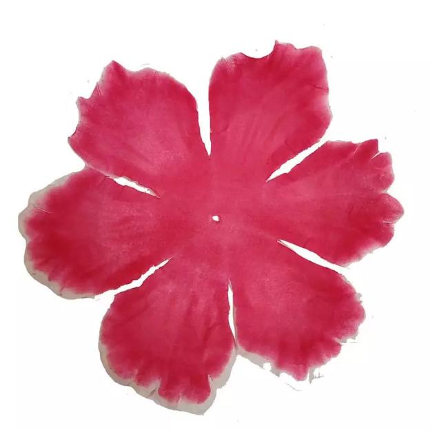 Заг-ка для пиона YZ-45 бордового с бел.кантом 3-ий сл. 6-кон. 16,5см 759шт/кг фото 1