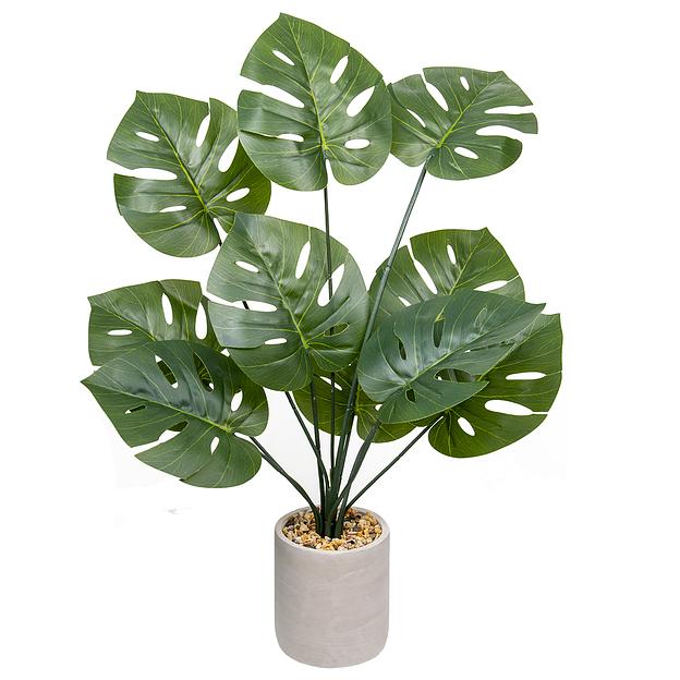 Монстера в керамическом горшке, Д120 Ш120 В700 фото 1