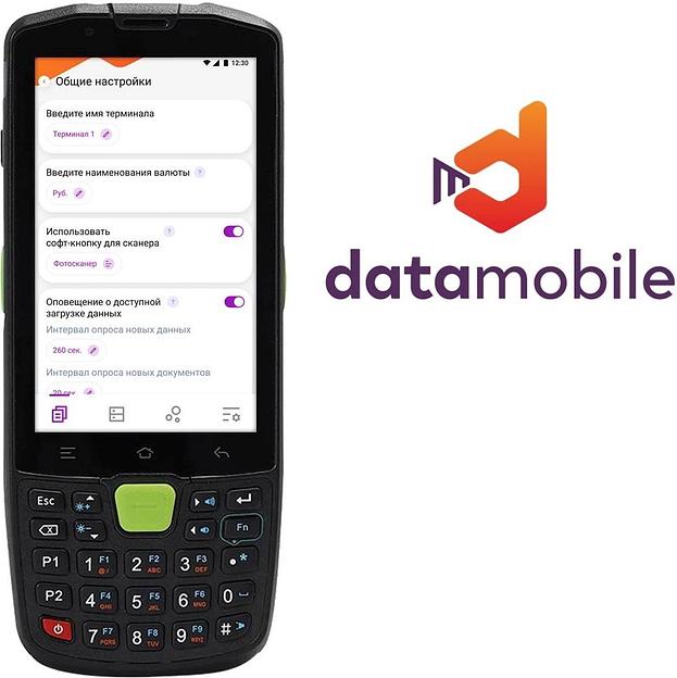 Лицензия DataMobile версия Стандарт подп.1г. (DM12M) фото 2