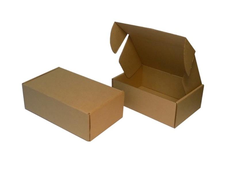 Пачки 195×129×70,255×129×70 из трёхслойного микрогофрокартона фото 1