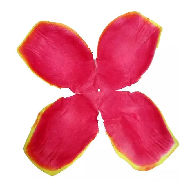 Заг-ка для розы YZ-63 бордовой с жёлт.кантом 4-кон. малый узк. 13-16см 918шт/кг фото 1