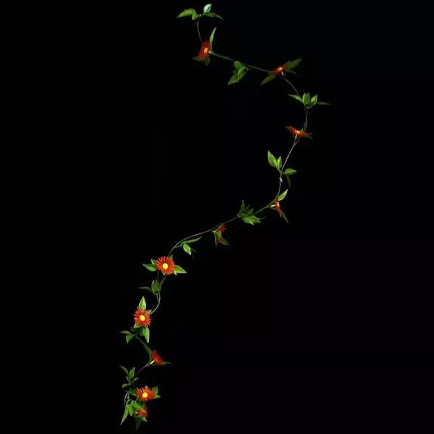 Лиана с 10 ромашками 9350-9274 фото 1