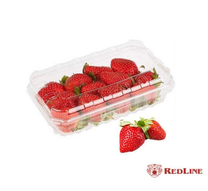 Контейнер с крышкой (ракушка) RedLine прозрачный, 500 г ОПТ фото 3
