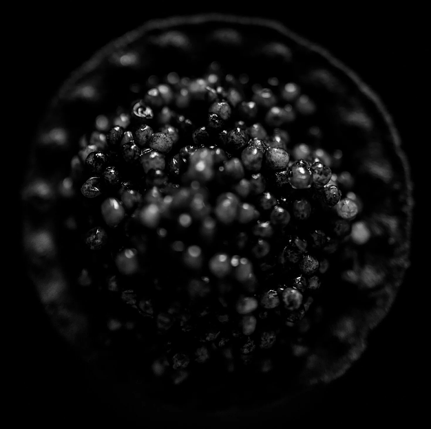 Стерляжья икра Азовский берег 250 г, опт фото 2