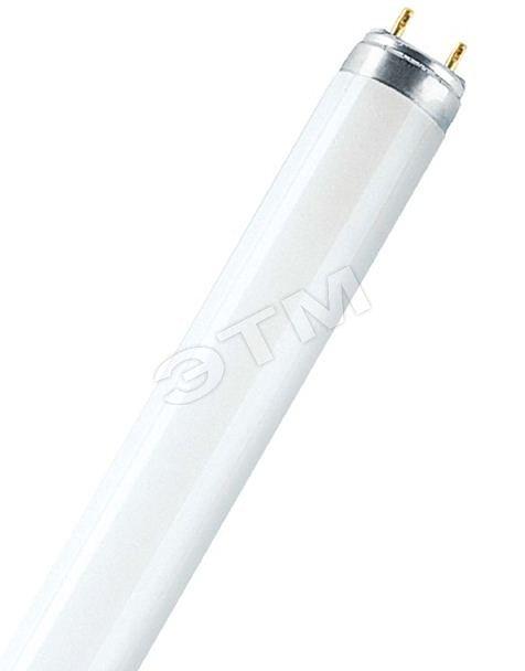Лампа люминесцентная L 58W/840 LUMILUX 58Вт T8 4000К G13 смол. OSRAM 4058075692916 фото 1