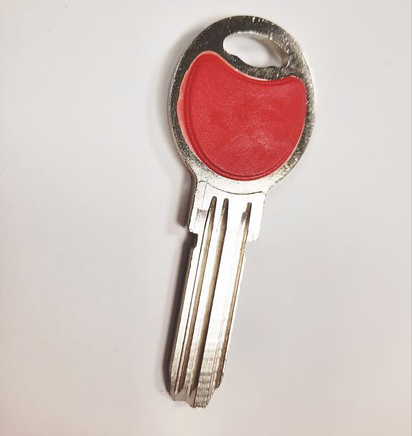 Заготовка ключа-KALE Яйцо 3П PKA 17 с цвет.вставкой фото 1