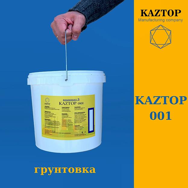 Пропитка глубокого проникновения для бетона «Kaztop 001» ОПТ фото 1
