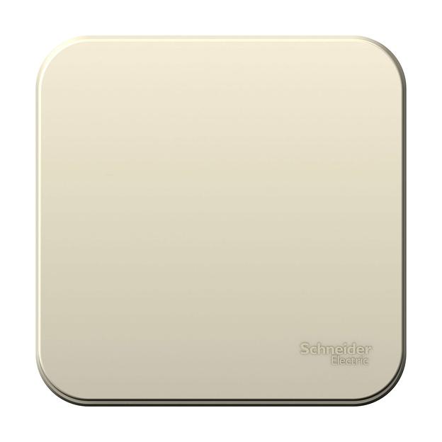 Systeme electric BLNVA101012 BLANCA О/У 1-клавишный ВЫКЛЮЧАТЕЛЬ ( c х.1) ИЗОЛ.ПЛ., 10А, 250B,МОЛОЧНЫЙ фото 1